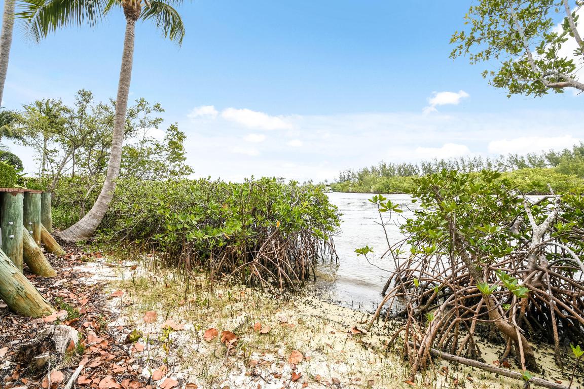 Sawfish Bay Colony - Residential