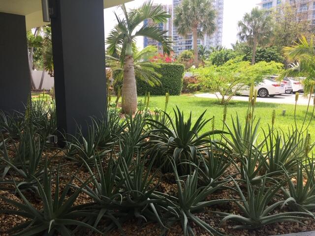 SEA TOWER APTS CO-OP - Residential Lease