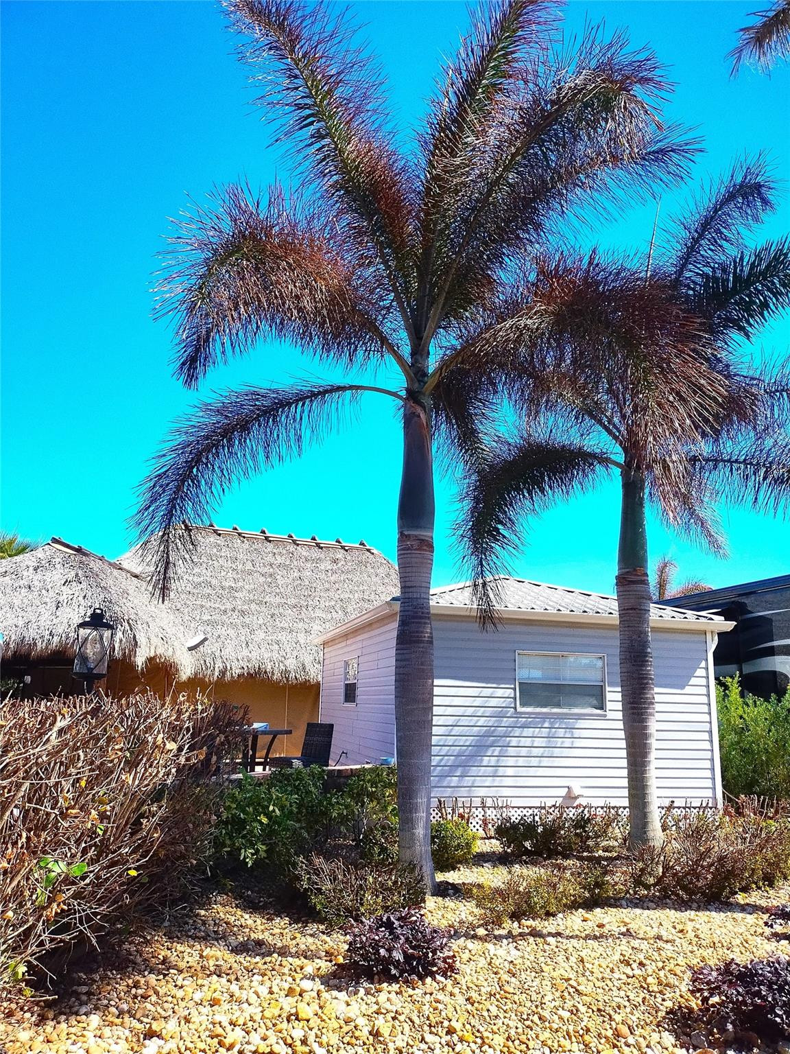 Silver Palms RV Village P - Land