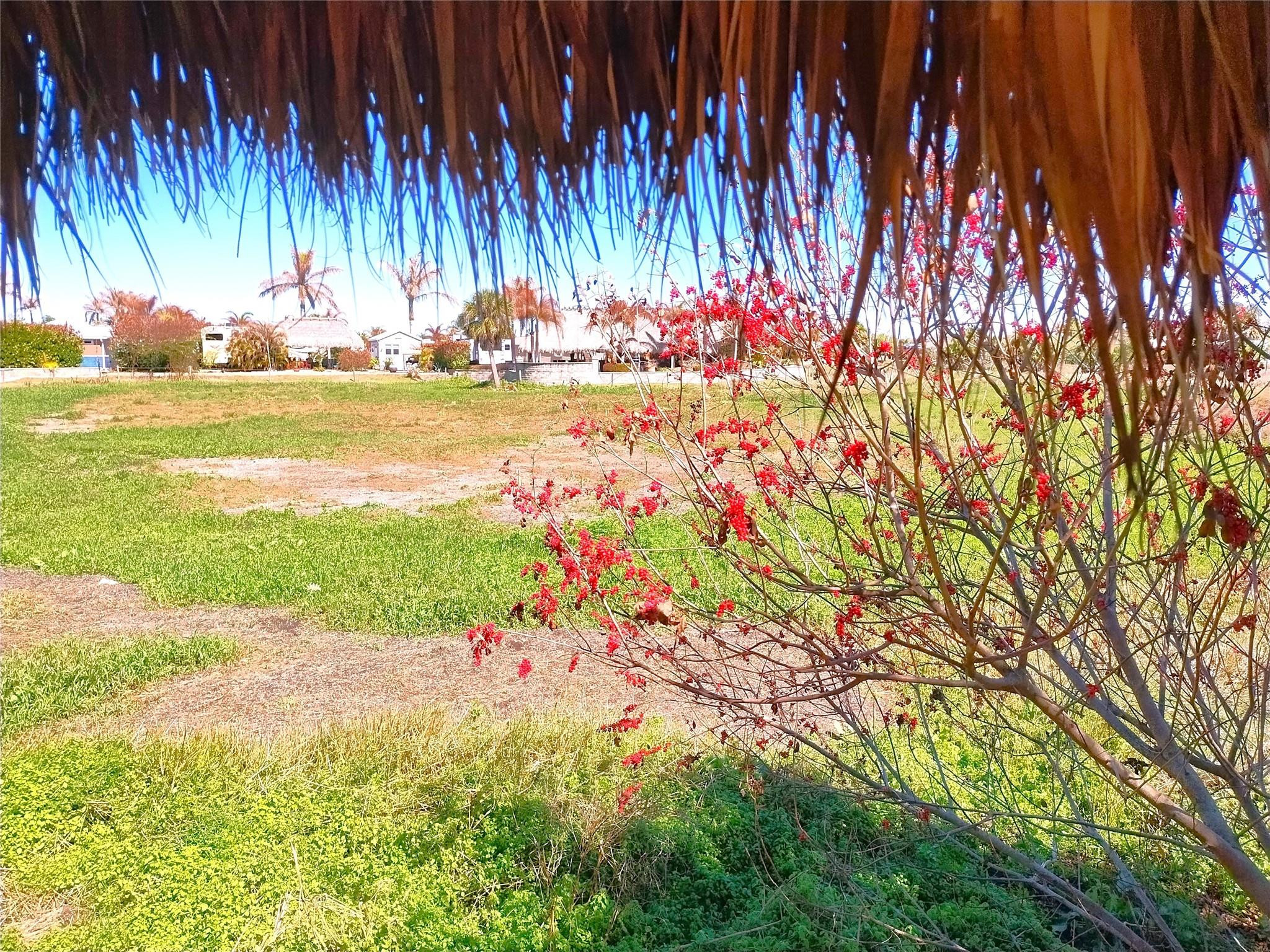 Silver Palms RV Village P - Land