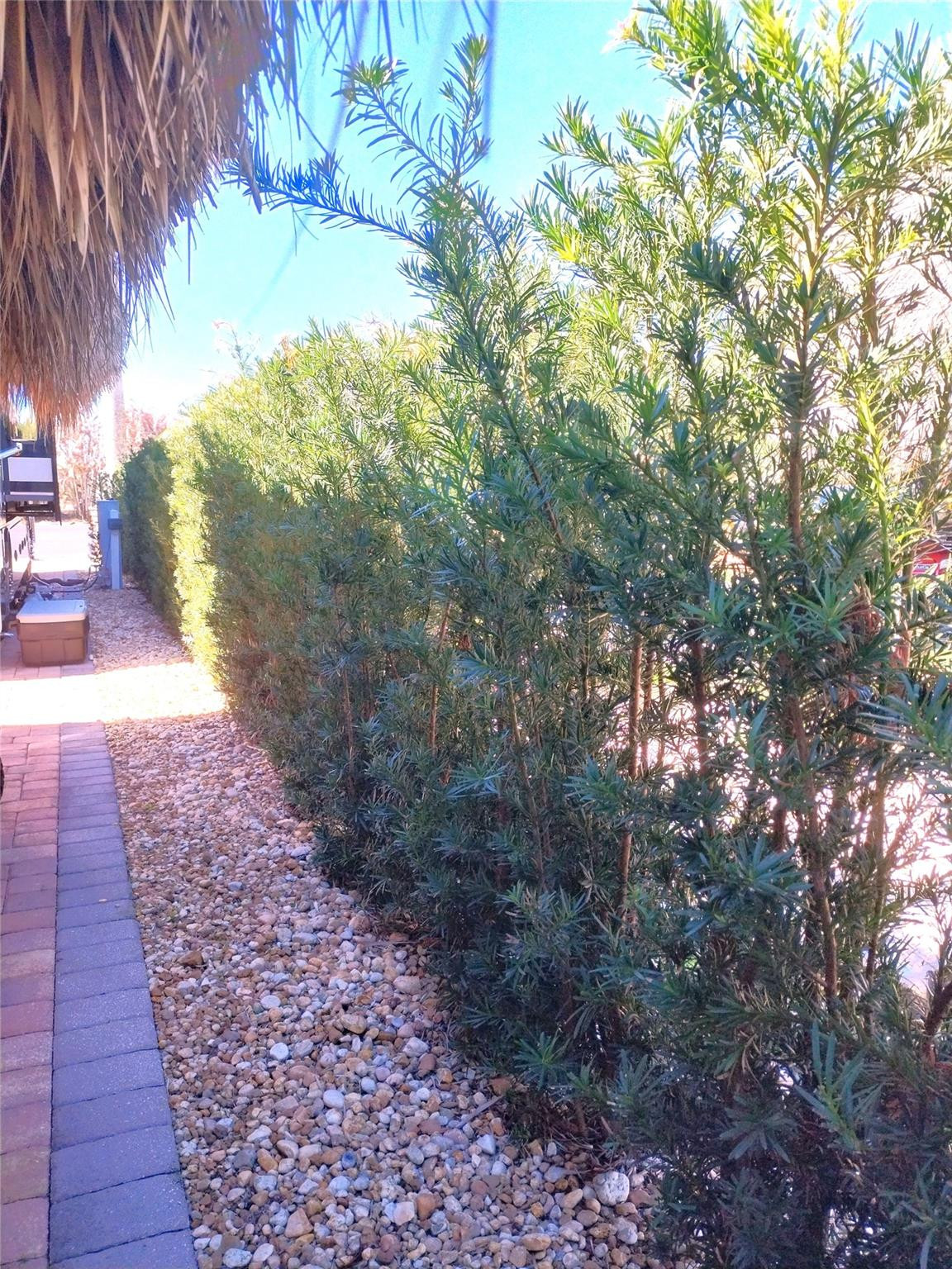 Silver Palms RV Village P - Land