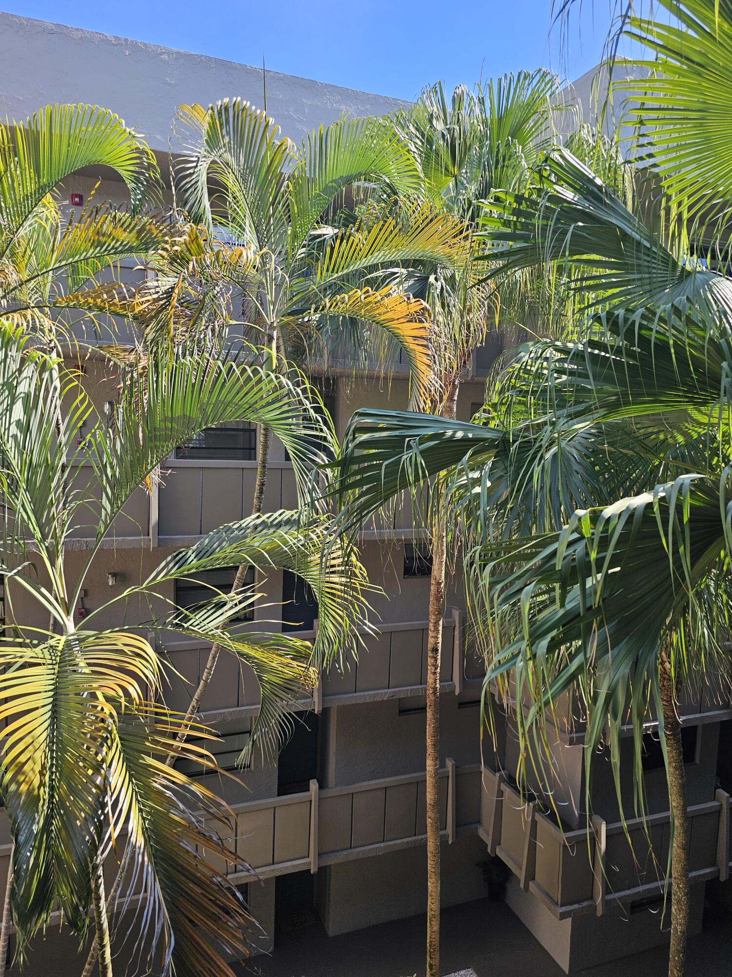 COLONY POINT 5 CONDO - Residential