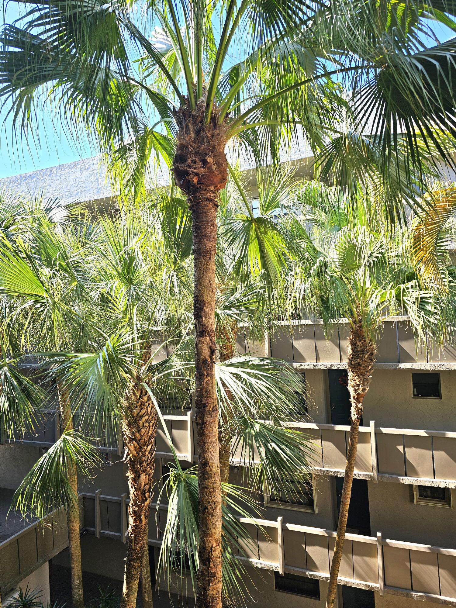 COLONY POINT 5 CONDO - Residential