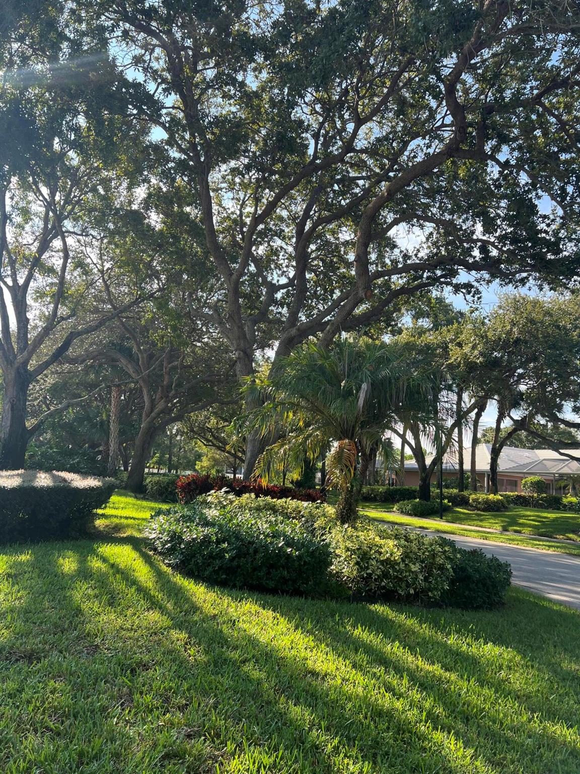 LAKE CATHERINE - Residential