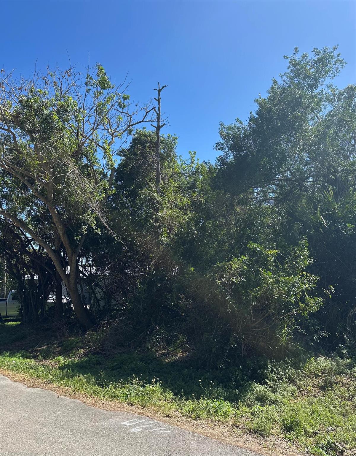 Build your dream home or investment property in a prime location just minutes away from US-1, downtown Fort Pierce, A1A, pristine beaches, fishing, shopping, colleges, dining, hospital and much more! Don't miss out on this opportunity to own a piece of Florida's Treasure Coast!