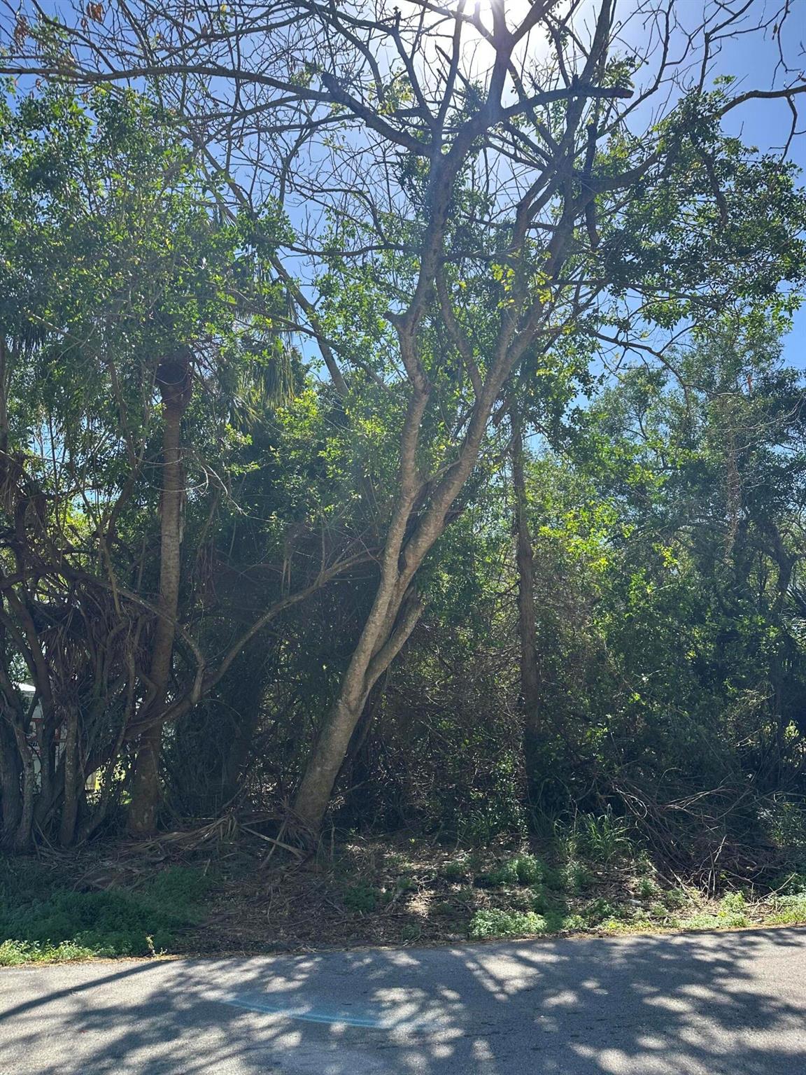 0 Avienda Avenue