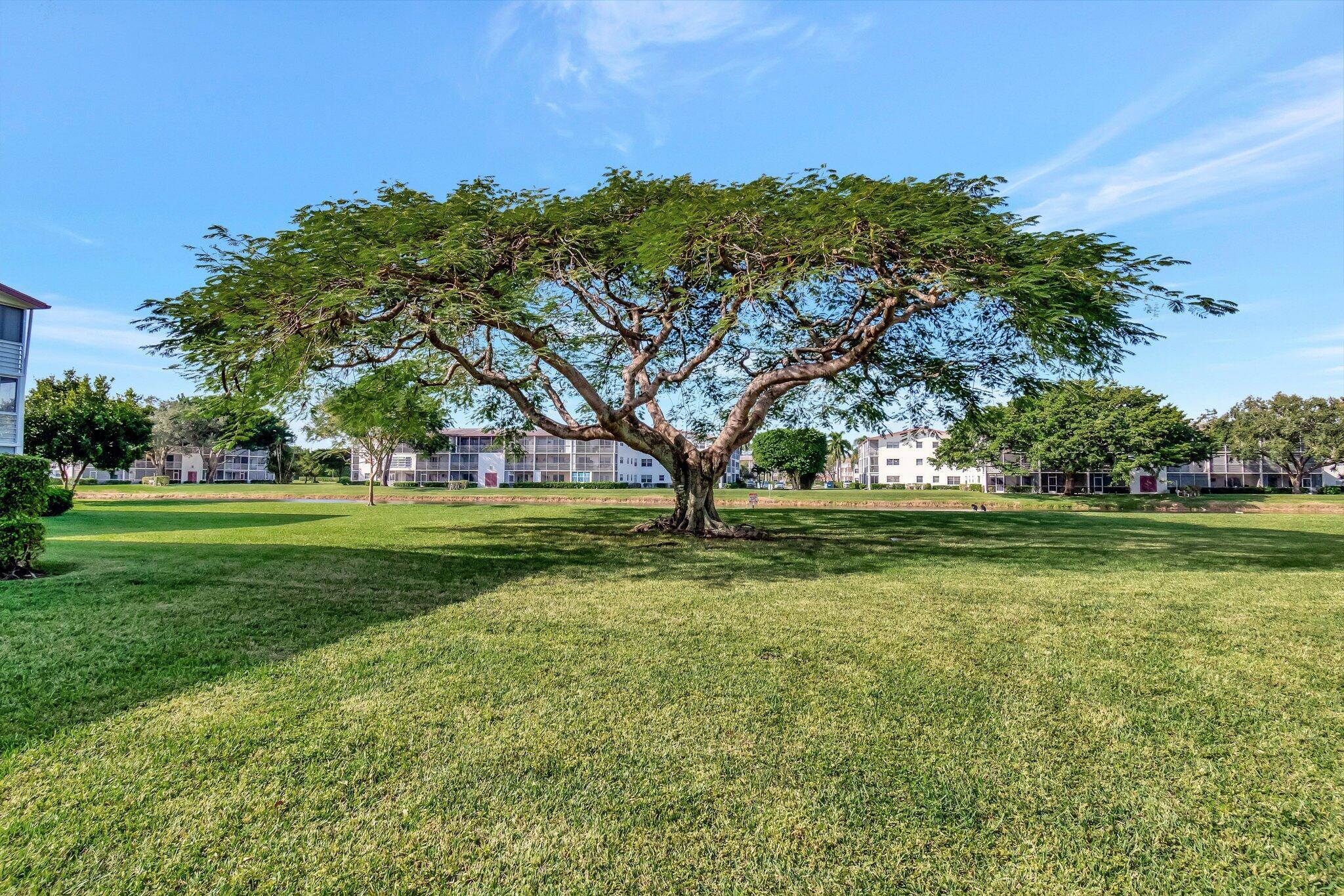 CENTURY VILLAGE - Residential