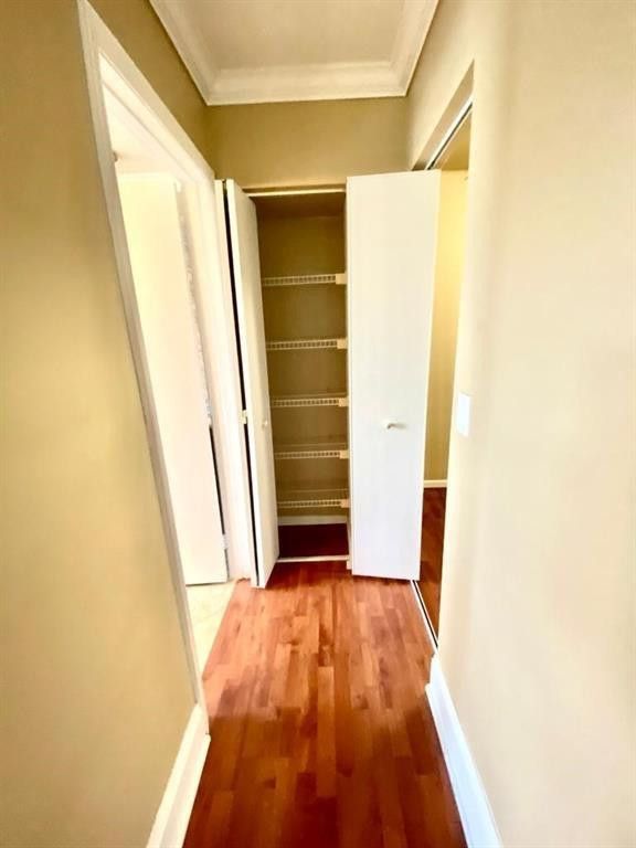 Ramblewood South 78-19 B - Residential Lease