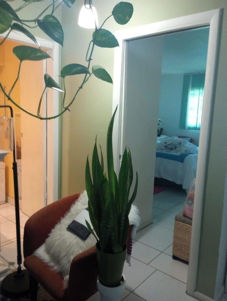 1250 E SAMPLE Road 307, Pompano Beach FL 33064