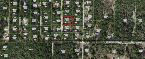 11315 N Moonlight Terrace Inglis FL 34449