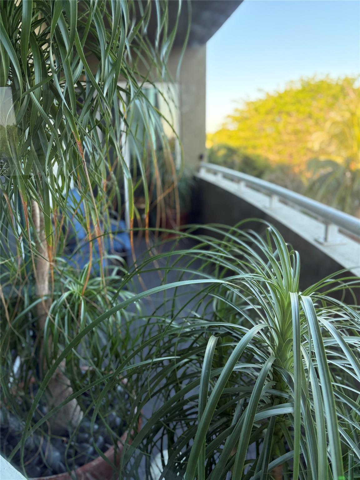 Island City Lofts - Residential