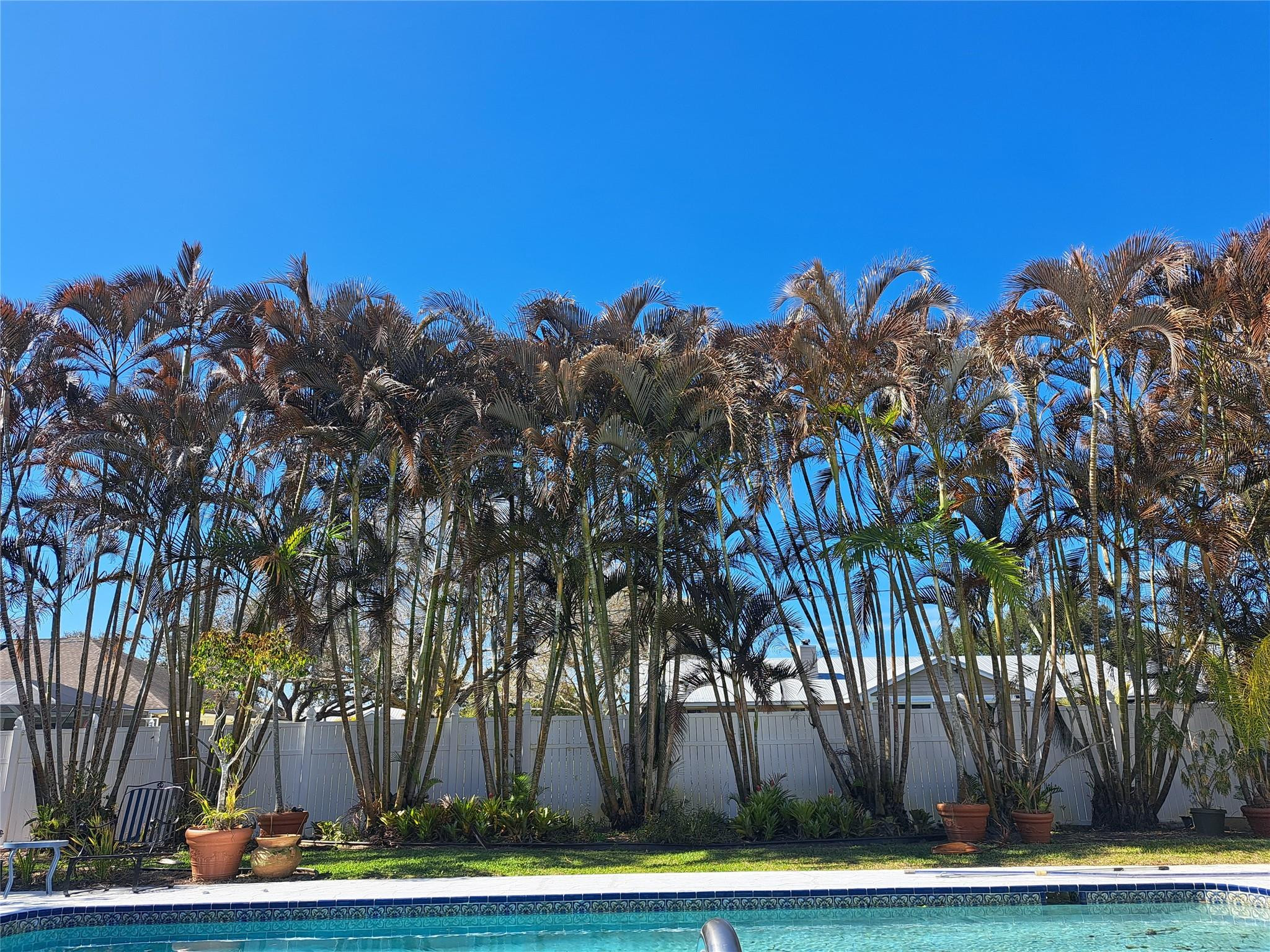 Pinewood Lane - Residential