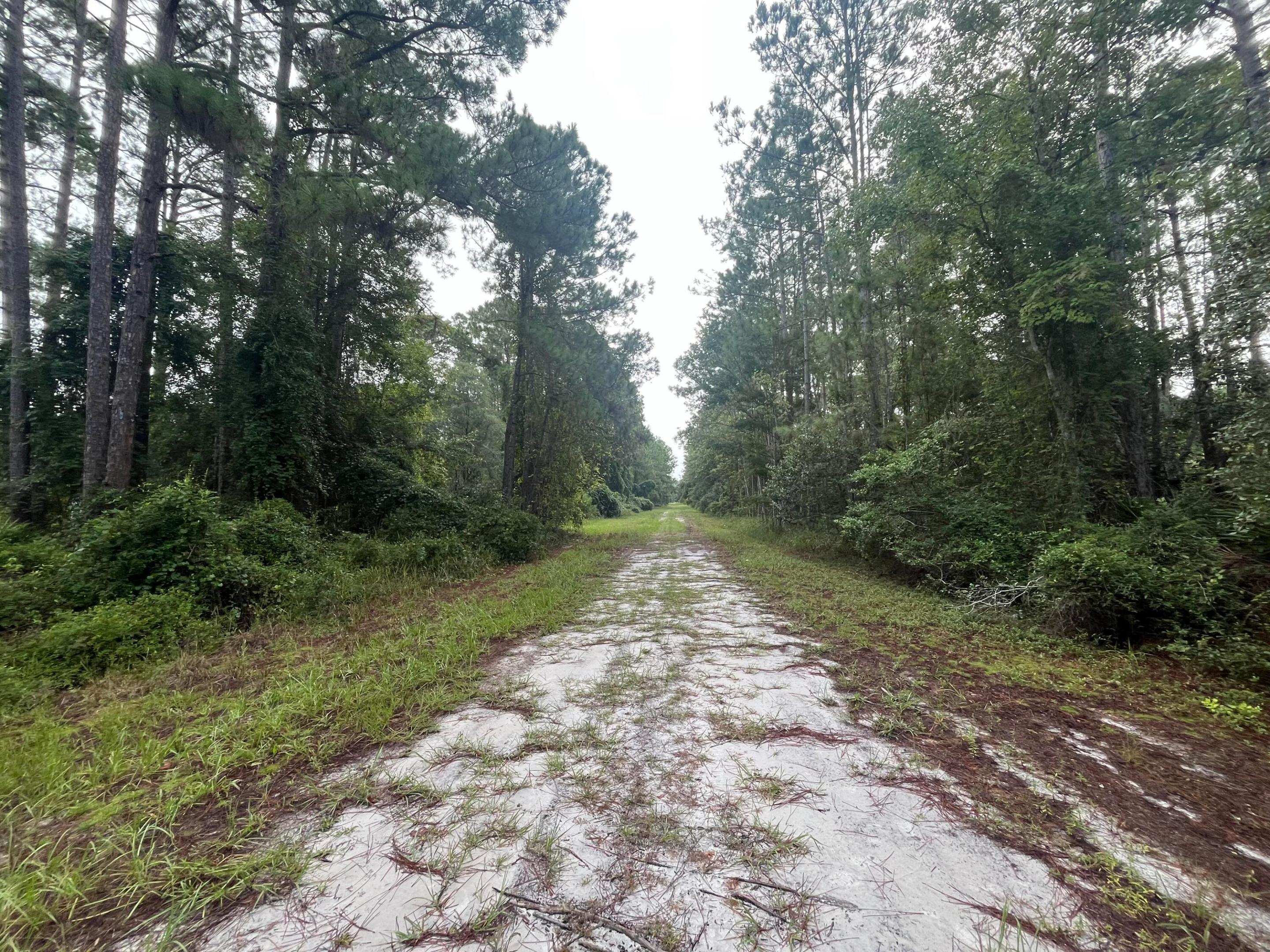 PARADISE LAKES SUB - Land