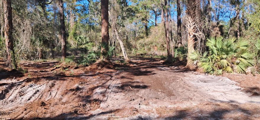 Owner financing available! Country living at its best! Check out this 0.23-acre recently mulched lot located in the peaceful Georgetown area. Build or bring your dream home and enjoy the privacy and natural surroundings this community offers. Take advantage of nearby outdoor recreation including the St. Johns River Rod & Reel Club, boat ramp, fishing pier, and access to Lake George for boating and fishing. Spend your days swimming and exploring the crystal-clear waters of Salt Springs and Silver Glen Springs, just a short drive away. A great opportunity to own land in a quiet area surrounded by some of Florida's best nature and waterways. Buyer to verify all property details including zoning, utilities, land use, and building requirements. All information deemed reliable but not guaranteed