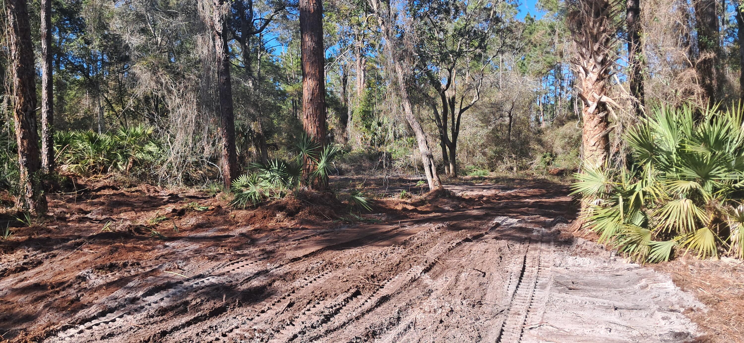 PARADISE LAKES SUB - Land