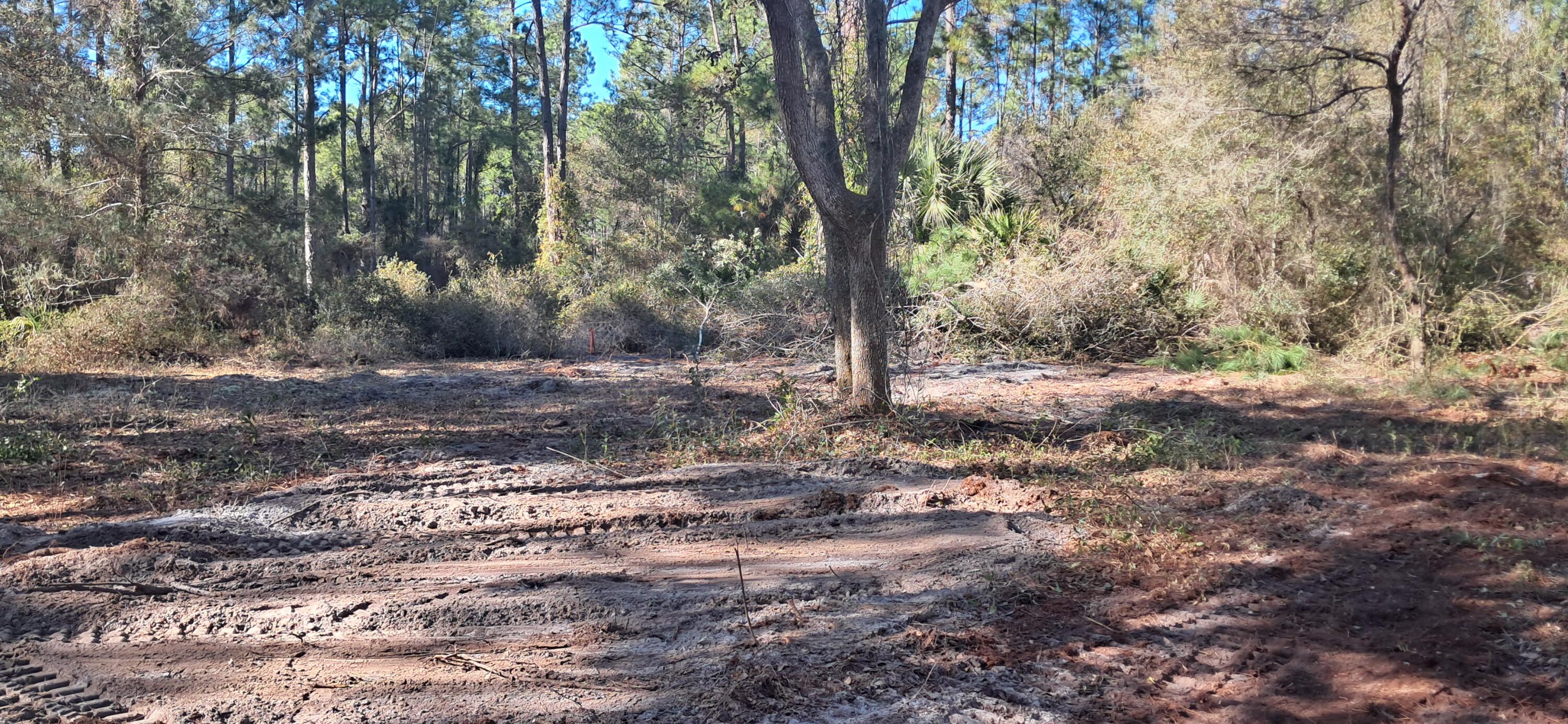 PARADISE LAKES SUB - Land