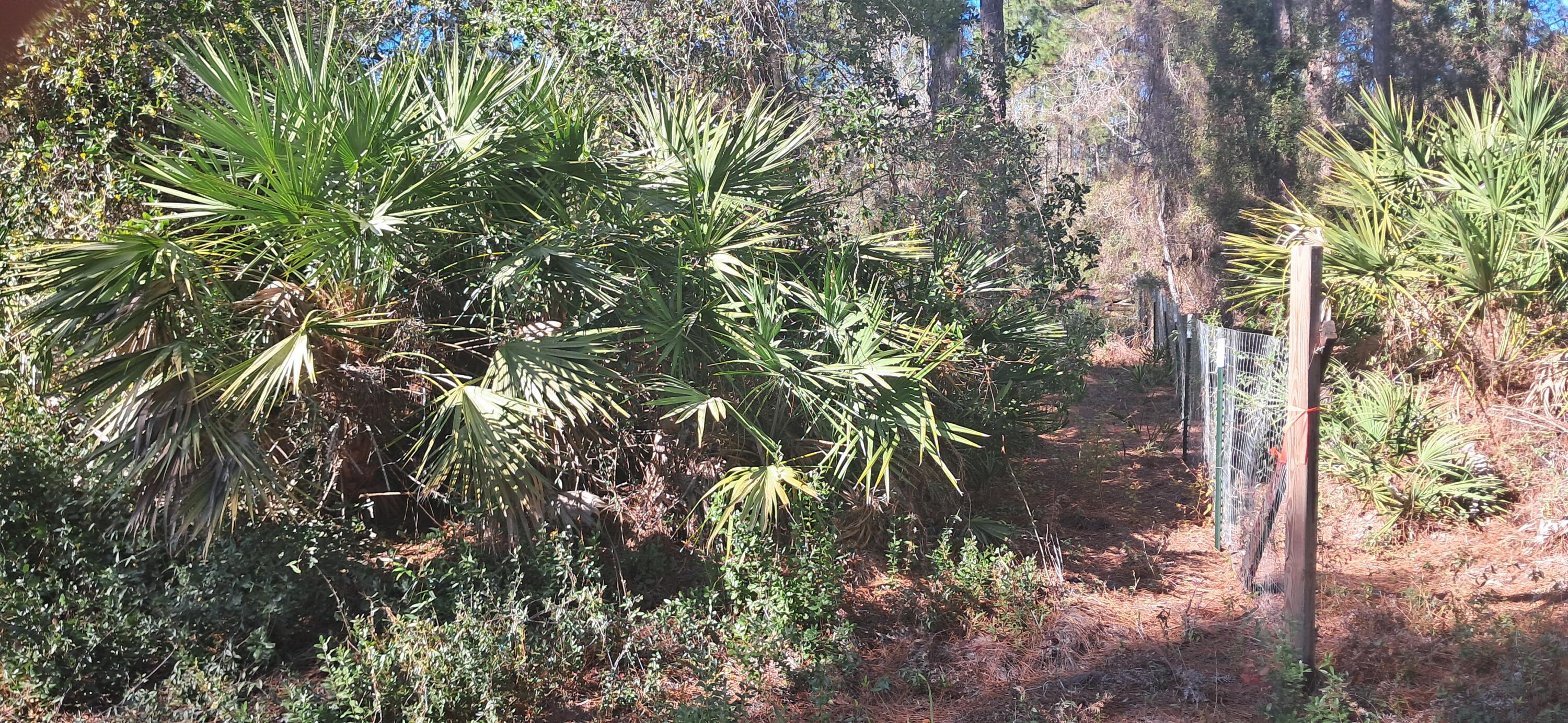 PARADISE LAKES SUB - Land