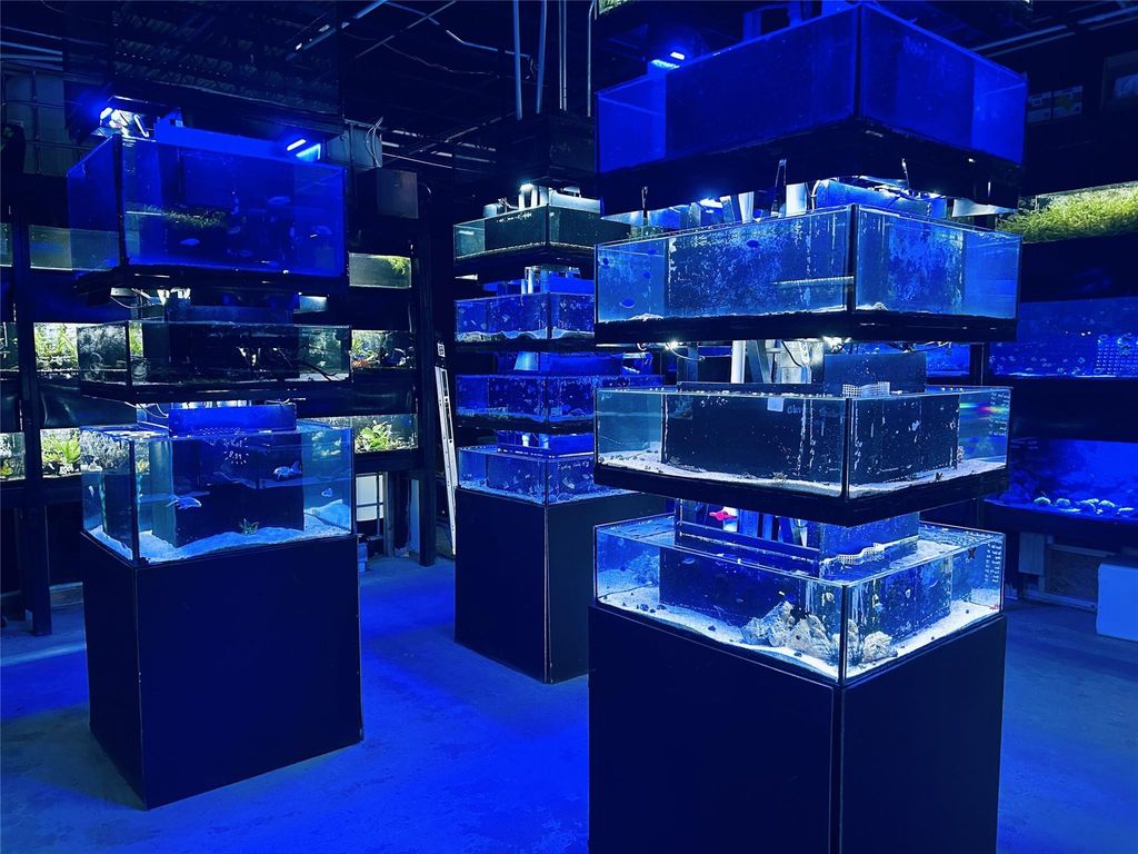 Photo of 1135 US Highway 1, Vero Beach, FL 32960 (MLS # F10554655)