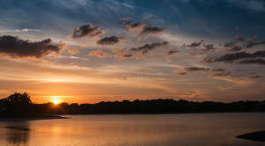 2650 Greenwood Terrace 1250