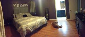 Port St Lucie Sec 33 - Residential