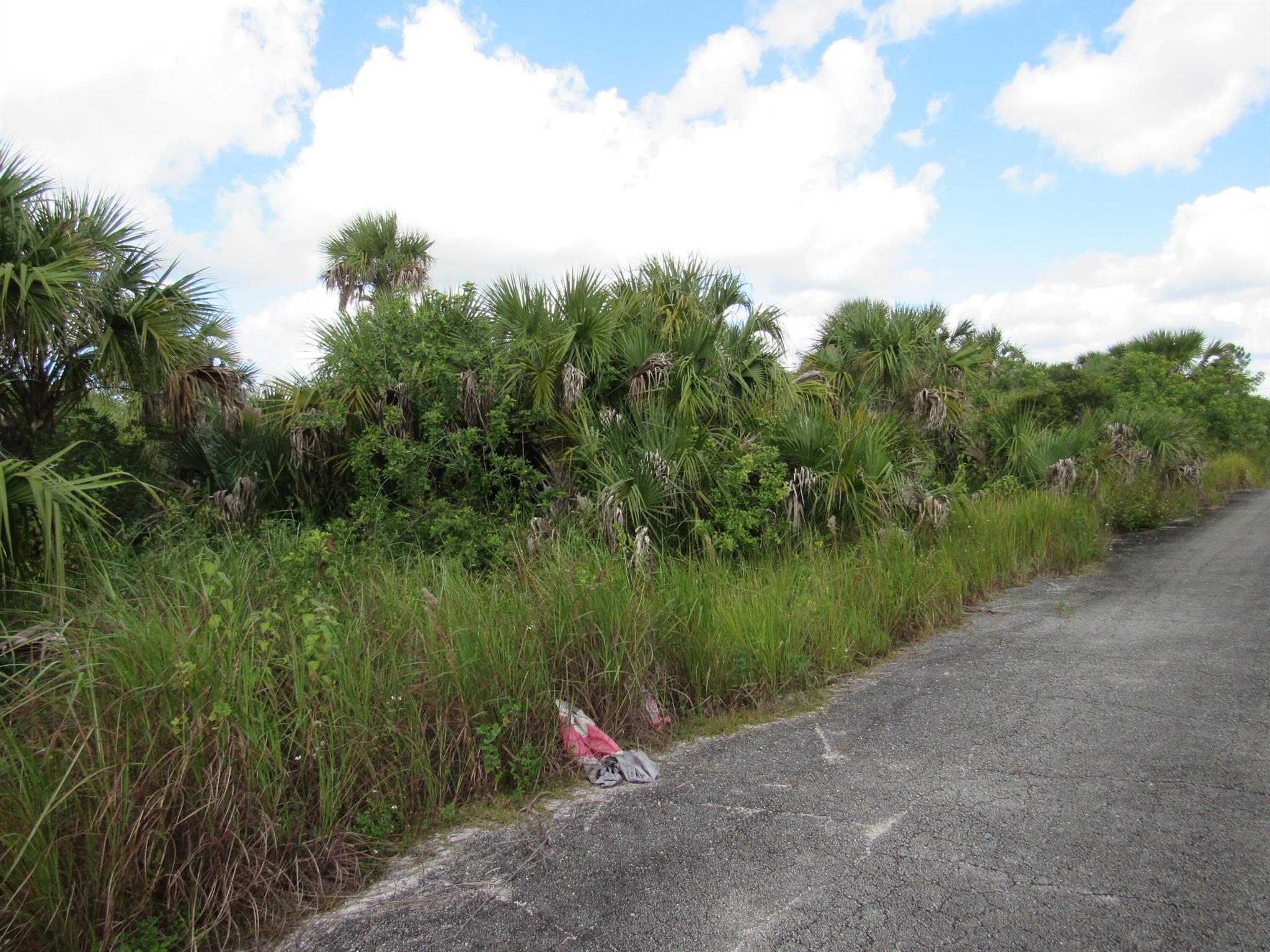 PORT MALABAR UNIT 51 - Land