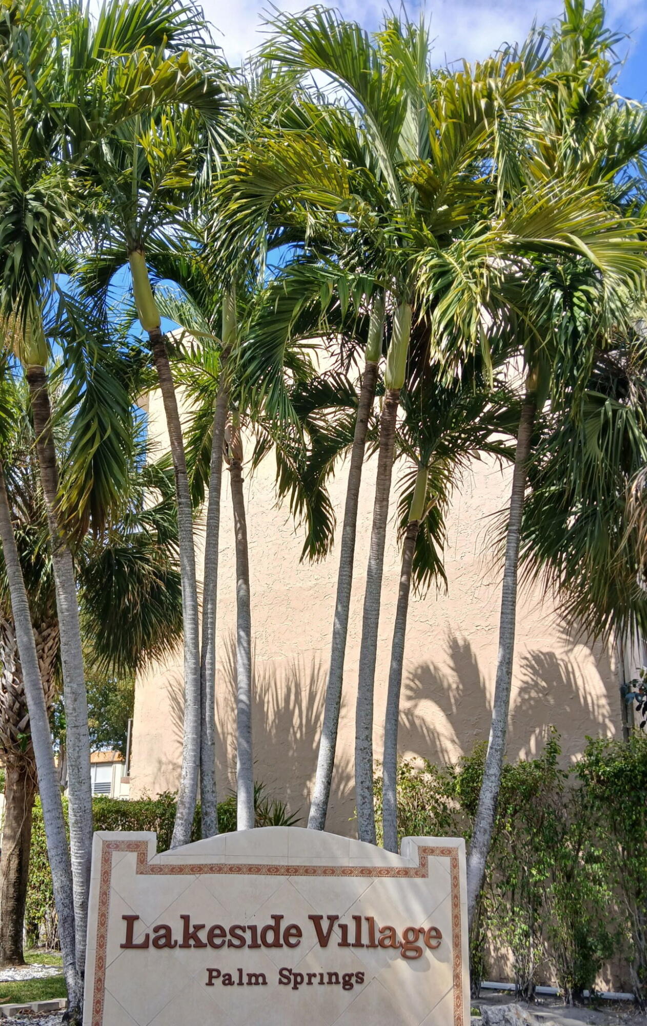 Lakeside Village - Residential