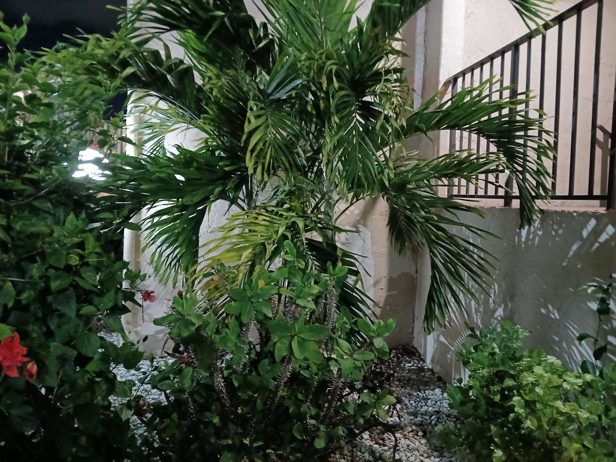 Lakeside Village - Residential