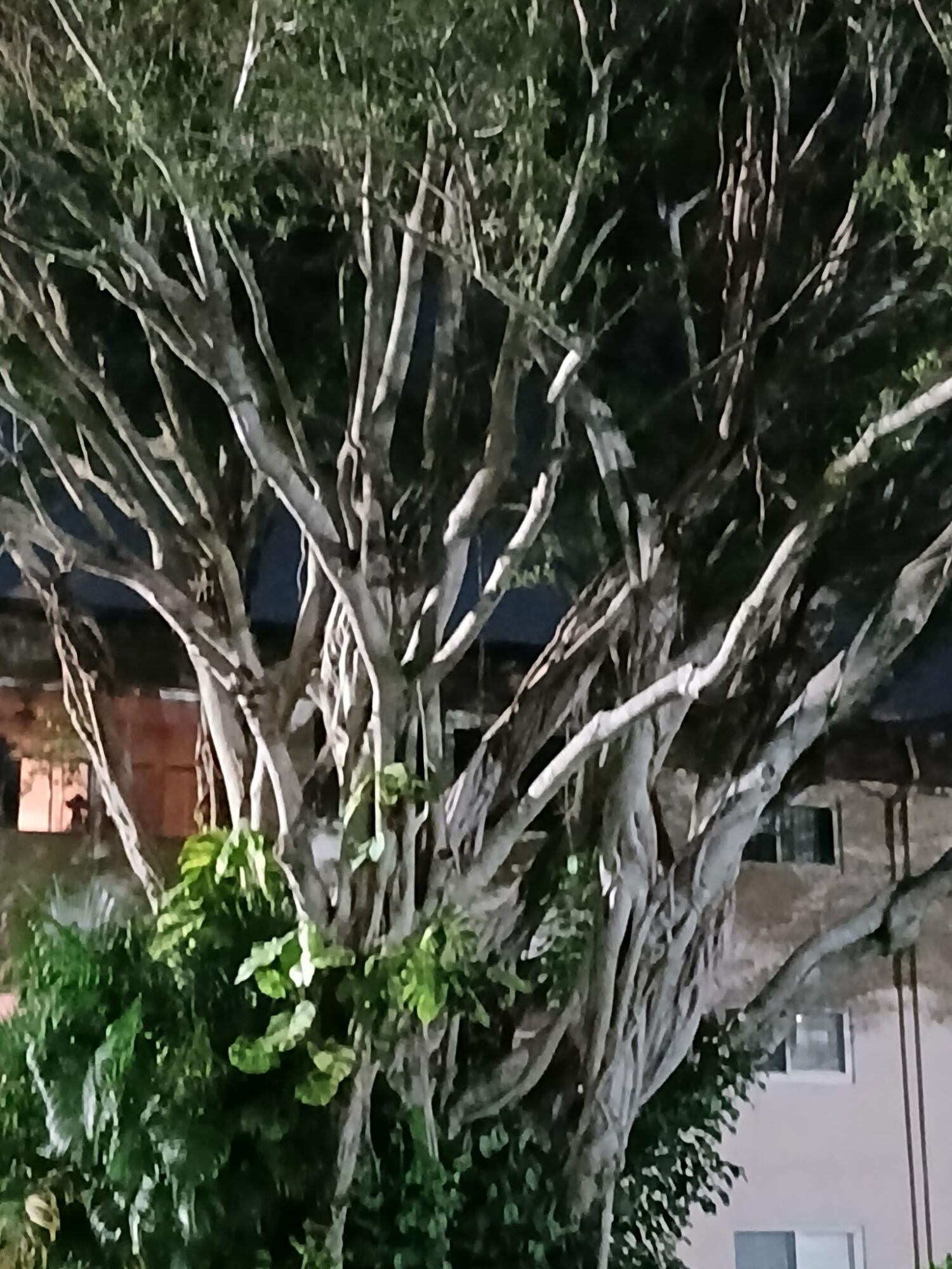 Lakeside Village - Residential