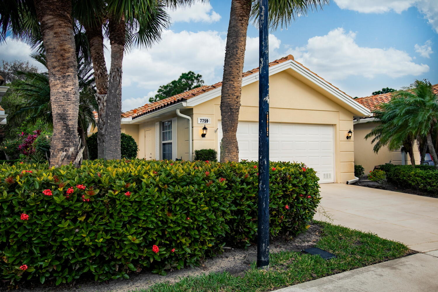 DOUBLE TREE - Residential