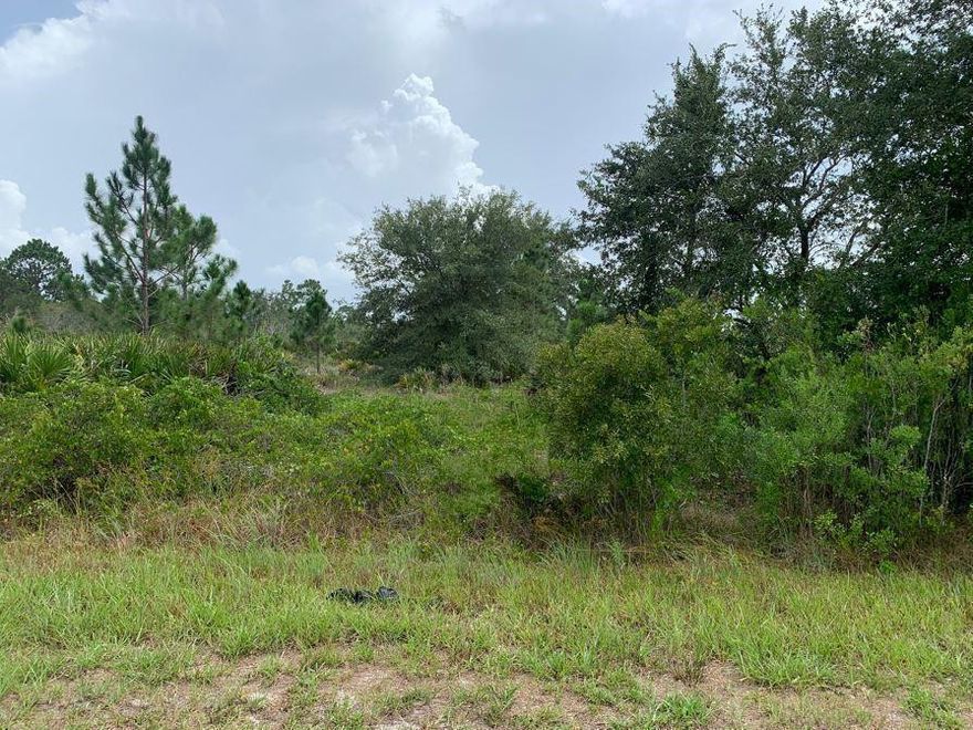 This amazing property is located in Avon Park Estates 1.13 acres and does not come with any HOA fees.Zoning is EU-Estate DistrictBuild your dream home today!Owner financing available with only $1,000 down.