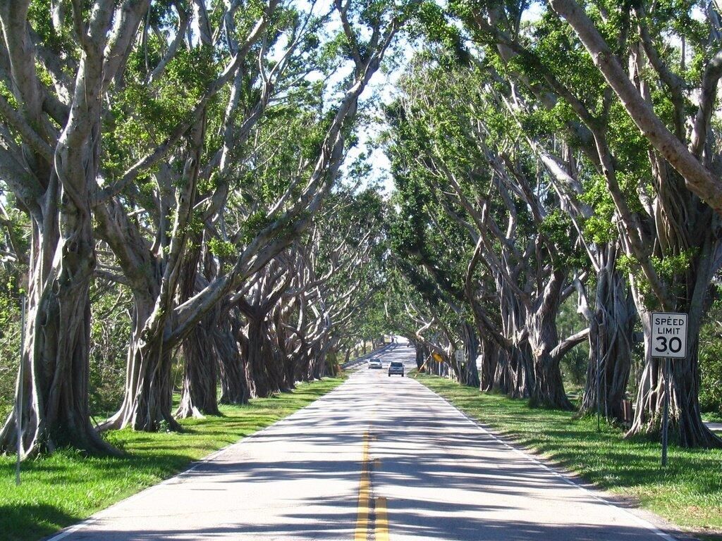 Photo of 7411 SE Jamestown Terrace, Hobe Sound, FL 33455 (MLS # R10935361)