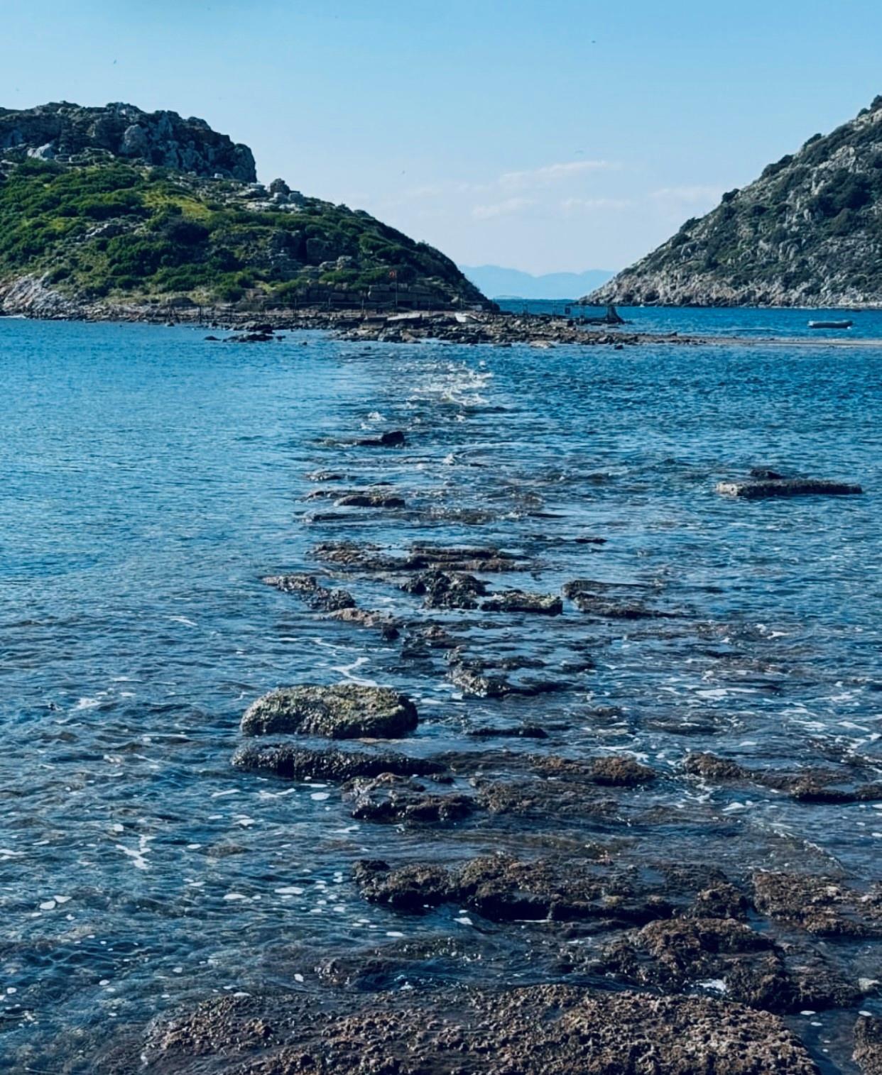 Kamelya Sitesi-Gumusluk - Residential