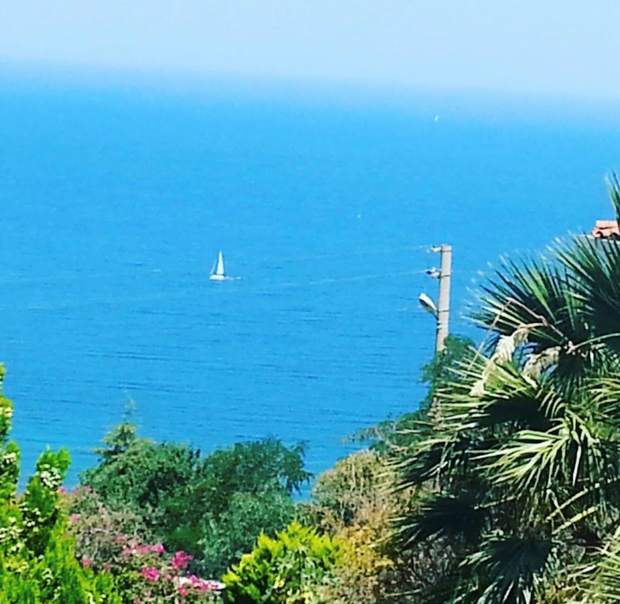 Kamelya Sitesi-Gumusluk - Residential