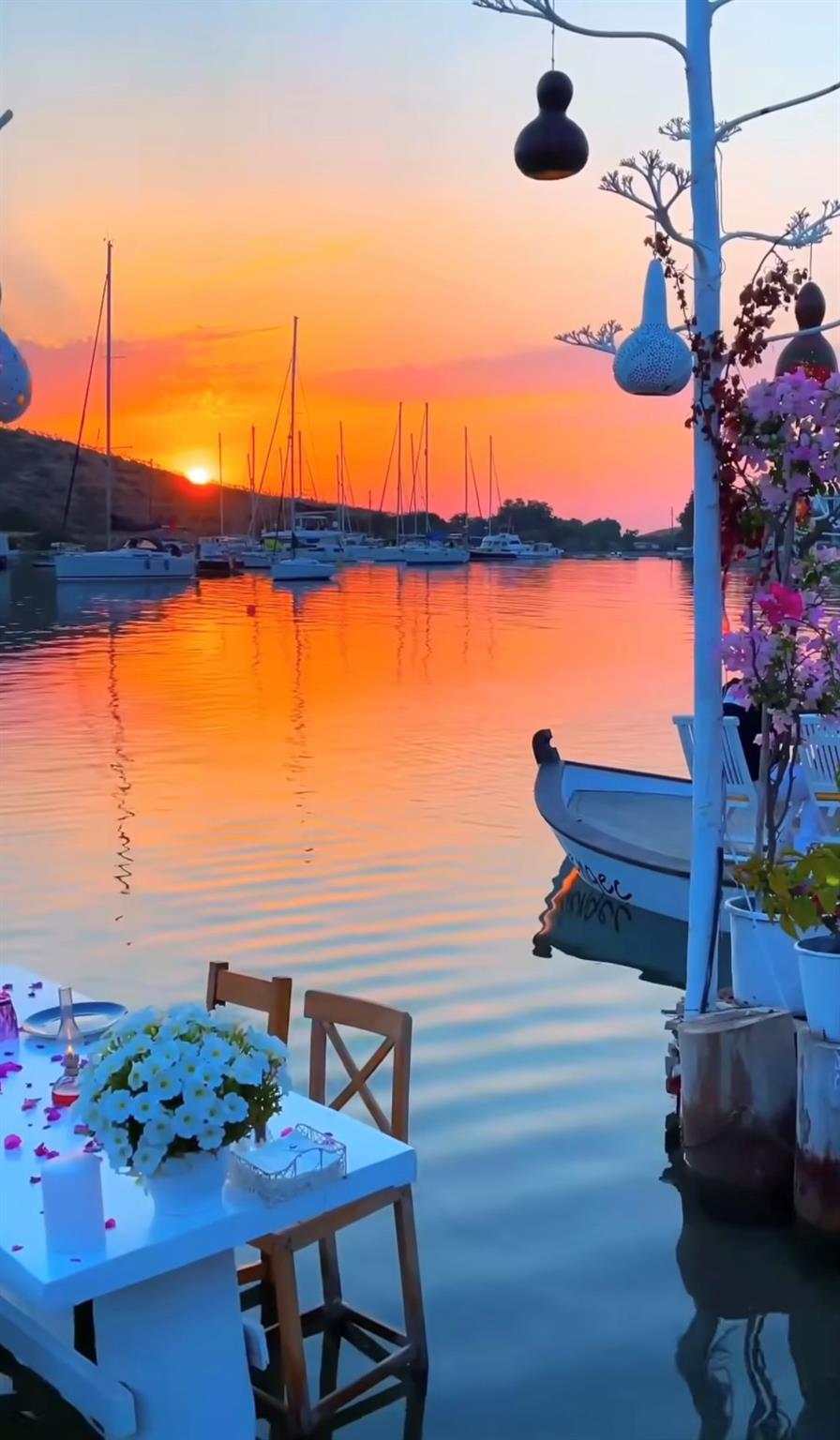 Kamelya Sitesi-Gumusluk - Residential