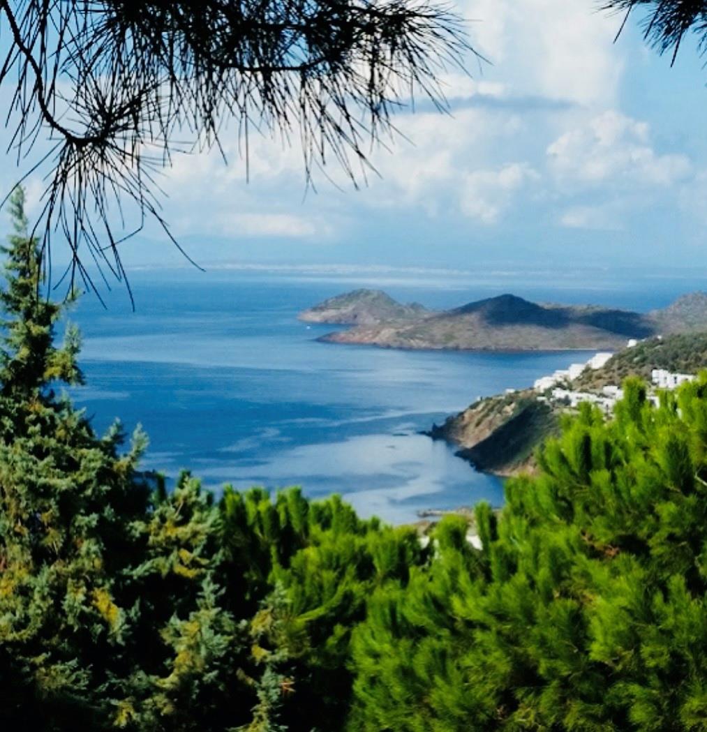 Kamelya Sitesi-Gumusluk - Residential