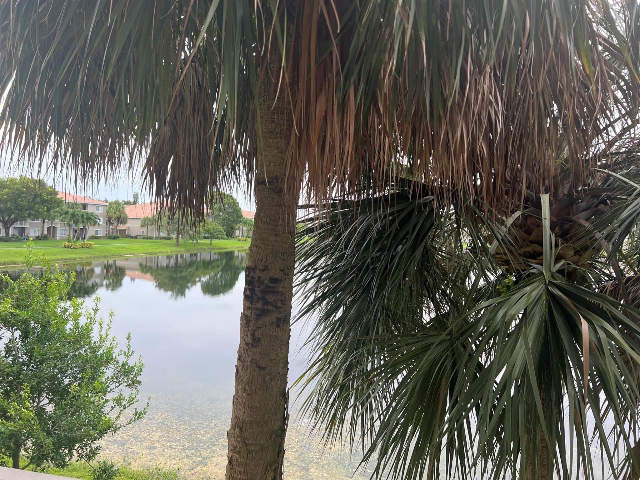 EVERGREEN LAKES CONDO - Residential Lease