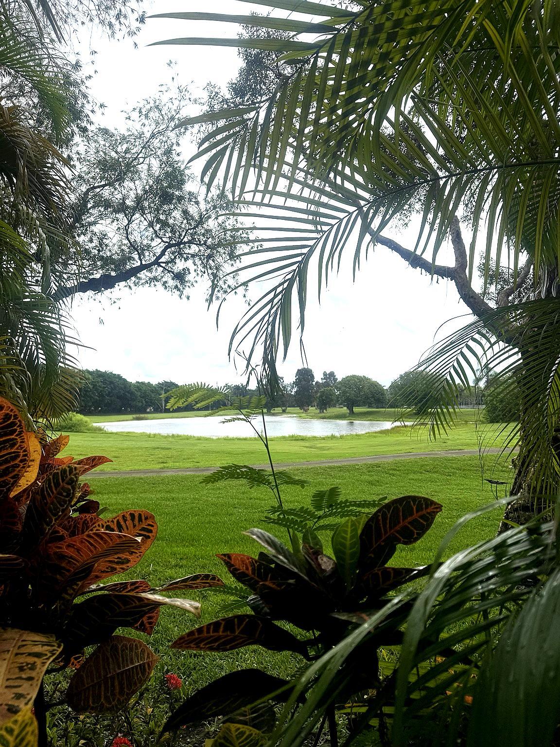 Las Verdes - Residential