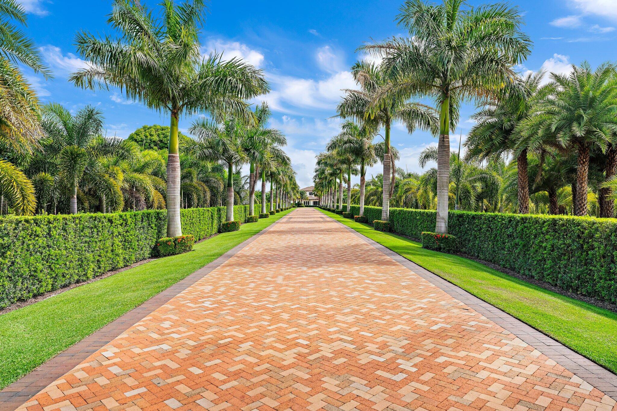 BAMBOO POINT - Residential