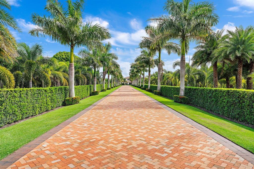 BAMBOO POINT - Residential