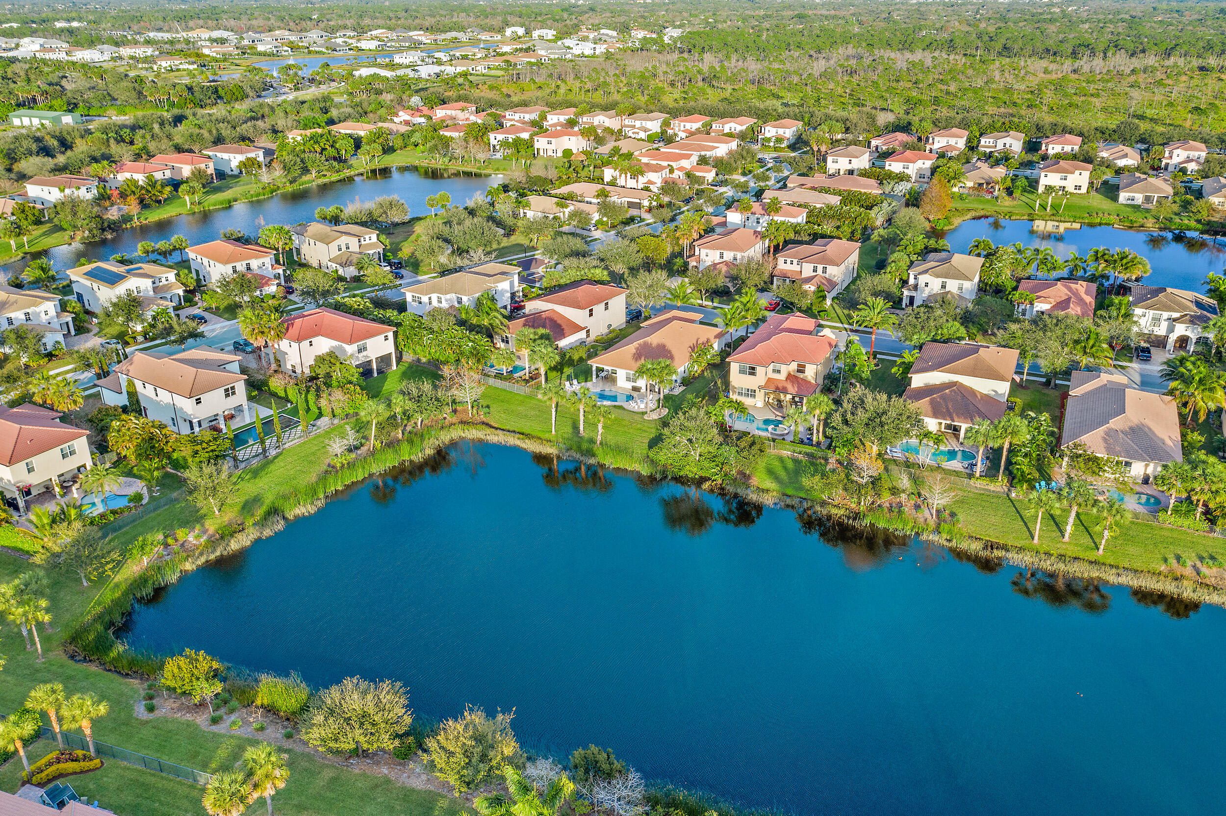 Rialto - Residential Lease