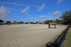 PALM BEACH POINT - Residential