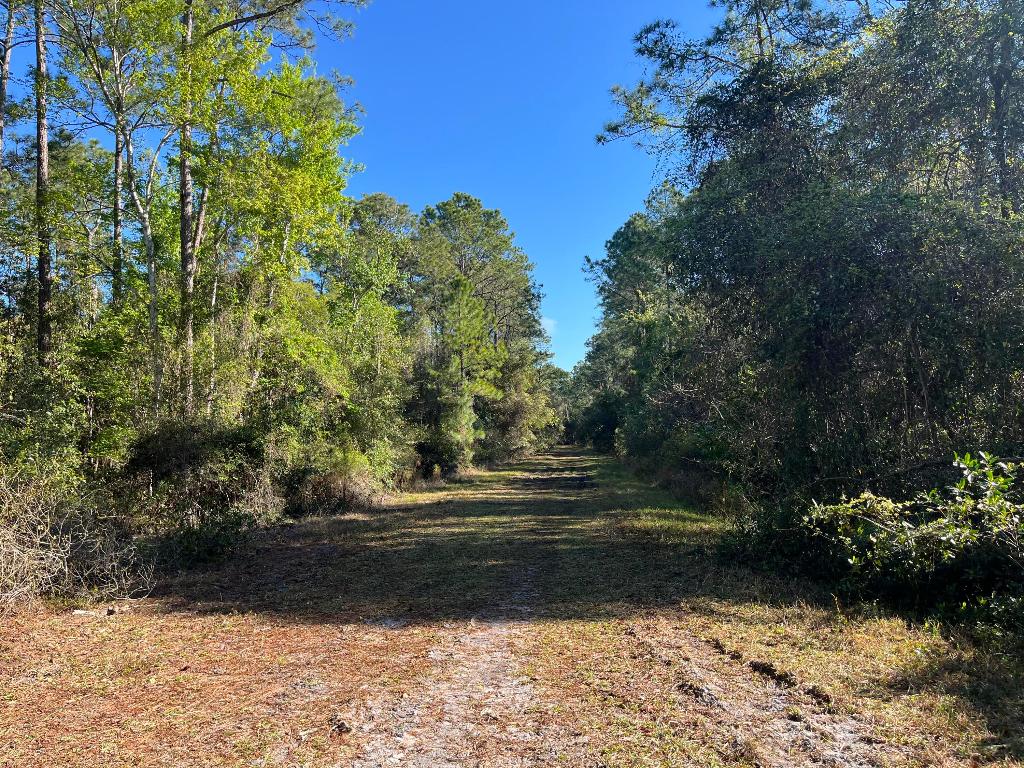 PARADISE LAKES SUB - Land