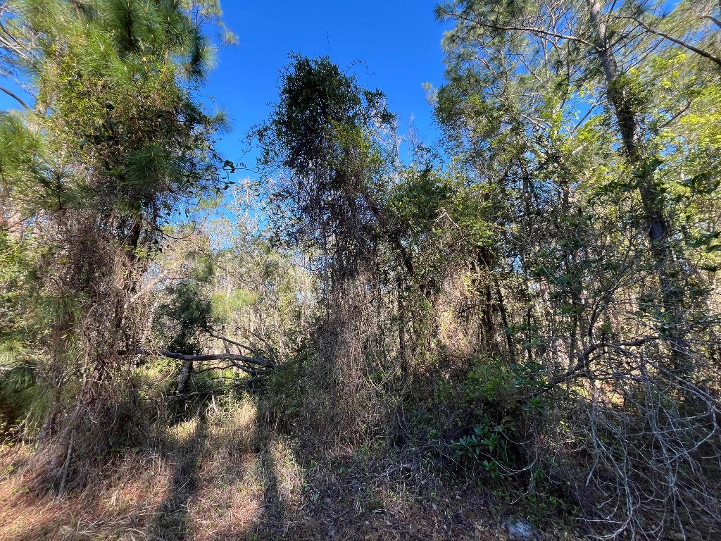 PARADISE LAKES SUB - Land