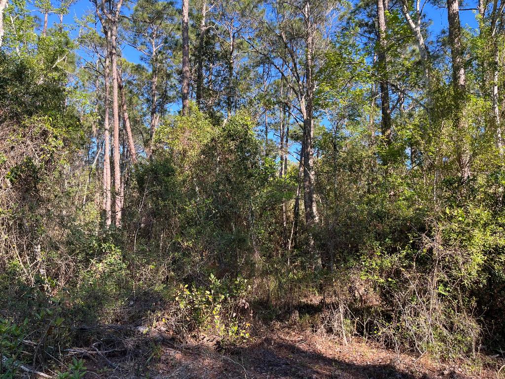 PARADISE LAKES SUB - Land