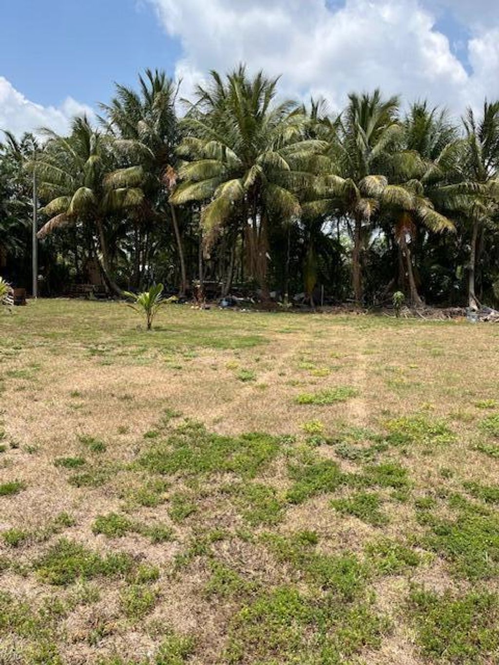 Photo of 14899 88th Place N, Loxahatchee, FL 33470 (MLS # R10987105)