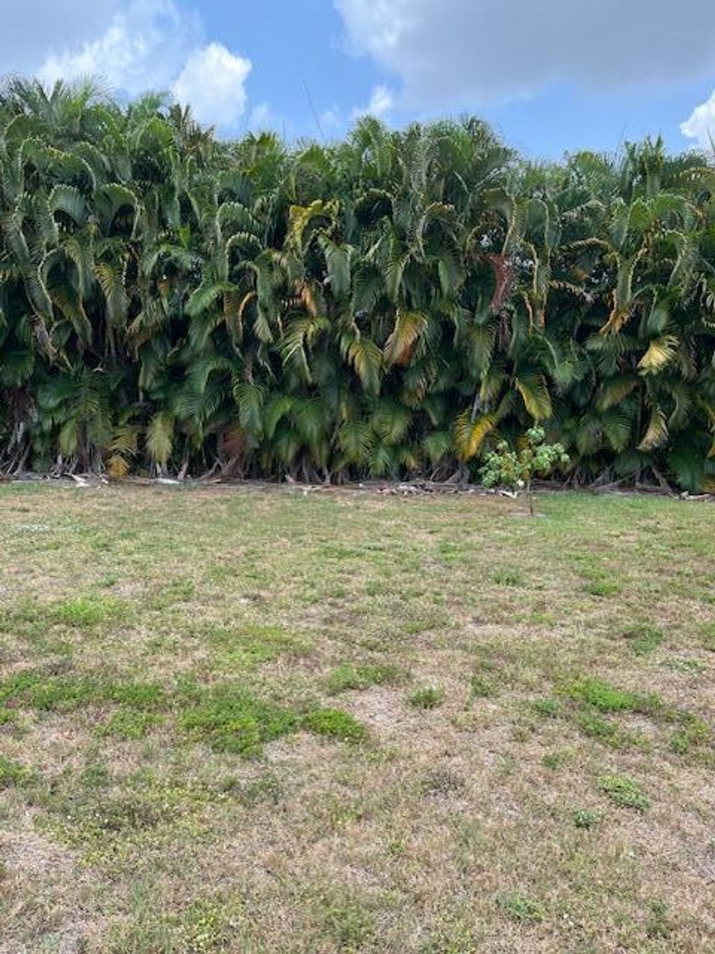 Photo of 14899 88th Place N, Loxahatchee, FL 33470 (MLS # R10987105)