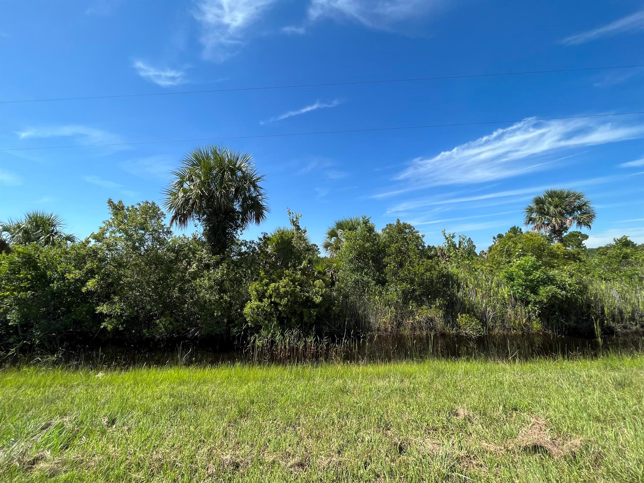 Build or bring your dream home and barn on this beautiful private high and dry 1.25 acre. There is so much to enjoy in Okeechobee County. The Kissimmee River Preserve State Park West of this area as well is the Kissimmee River. The Kissimmee River flows into Lake Okeechobee and is well known for some of the best fishing. whether you like Fishing, hunting, mudding agriculture or just privacy here you have it all.