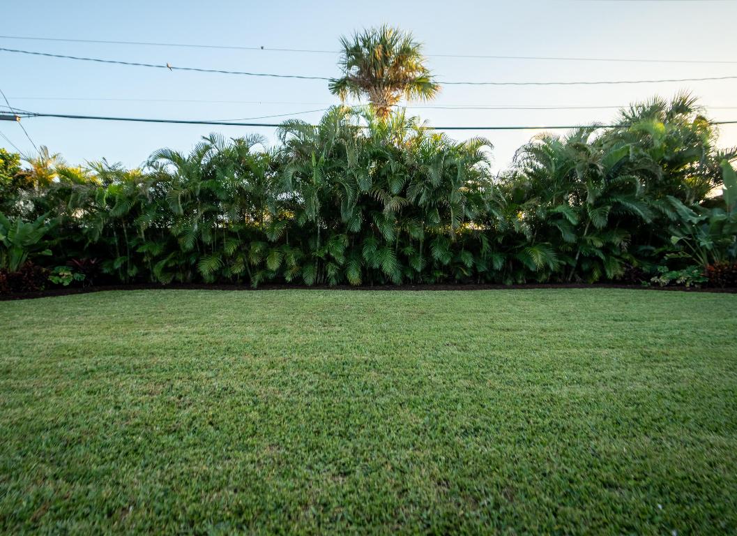 PINEAPPLE PARK - Residential