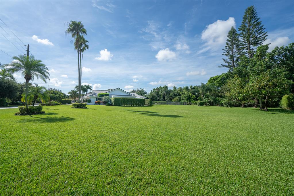 PINE TREE GOLF CLUB - Land