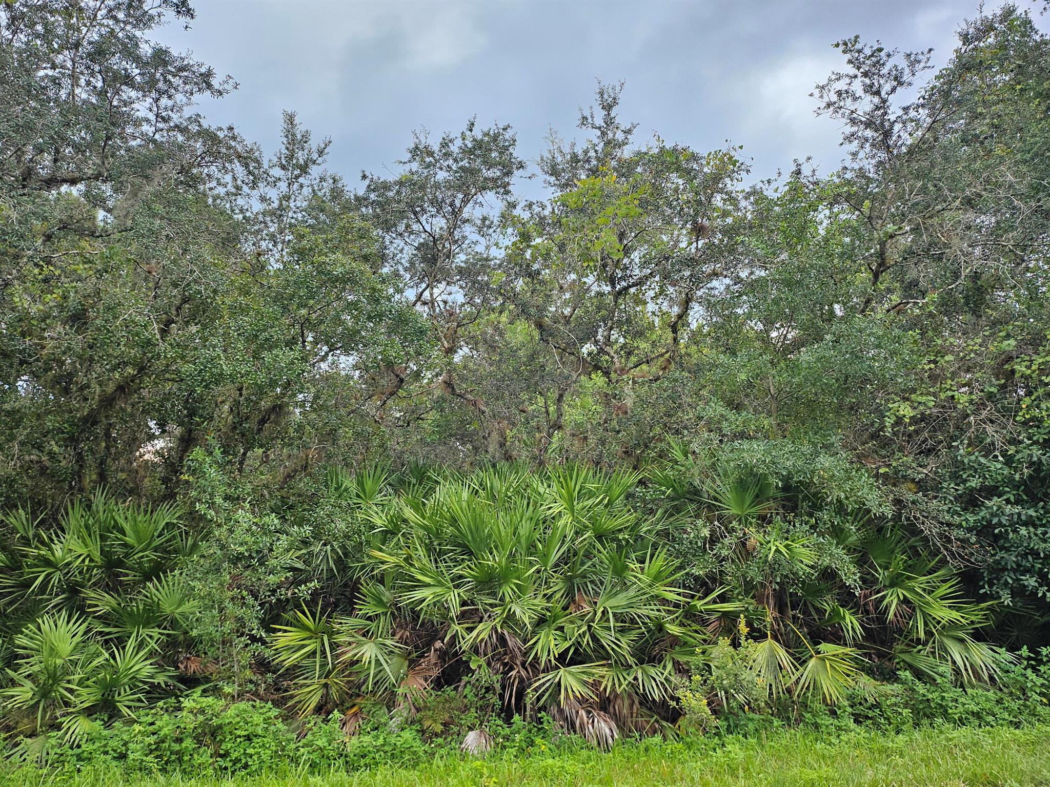 PRICED ACCORDINGLY, BUYERS DO THEIR OWN DUE DILGIENCE,2.74 ACRES OF RURAL ACREAGE ON A PAVED ROAD IN CENTRAL ACRES LOCATED IN OKEECHOBEE 34972 WITHIN YEEHAW-JUNCTION,BUILD YOUR DREAM HOME.